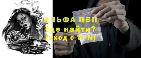 гашик Иннополис