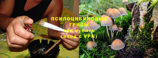 гашик Иннополис