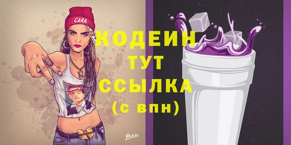 гашик Иннополис
