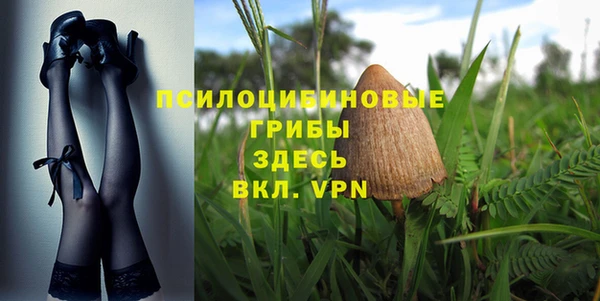 гашик Иннополис
